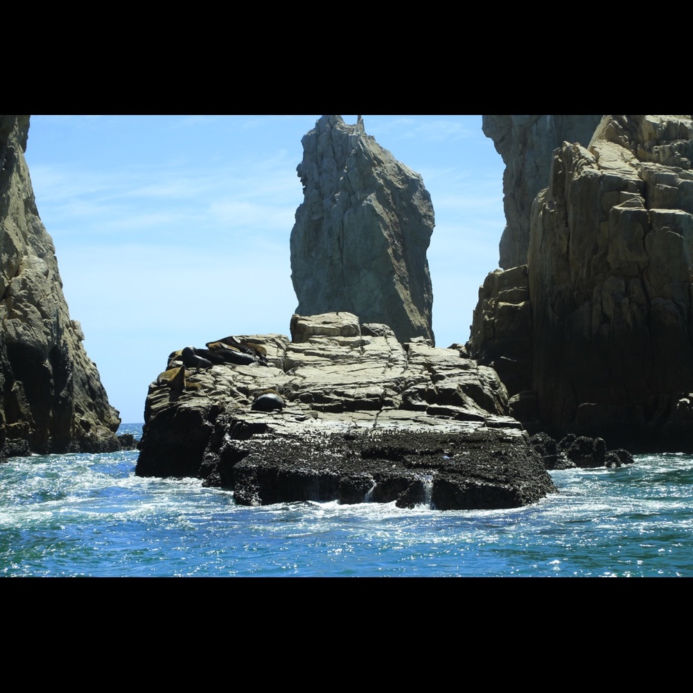 Meet your Posher, Anyy